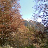Herbstliche Soiernspitze | 12.10.2008 | 12:24 Uhr