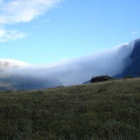 Vom brasilianischen Regenwald ziehen Wolken herüber | 14.01.2009 |  6:51 Uhr