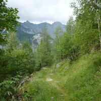 Ein schöner Weg zur Lahnwald-Diensthütte | 26.07.2011 | 17:00 Uhr