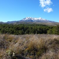 Mount Ruapehu | 24.12.2011 |  9:39 Uhr