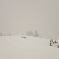 Am Gipfel des Brauneck | 15.01.2017 | 13:49 Uhr