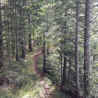 Schöner Trail | 28.04.2017 | 14:28 Uhr