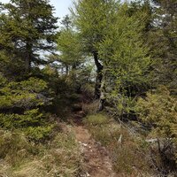 Schöner Trail | 28.04.2017 | 14:30 Uhr