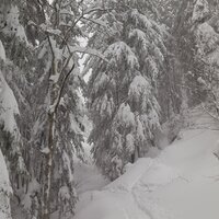 Reichlich Schnee | 21.01.2018 | 10:58 Uhr