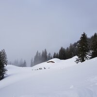 Hohe Schneelage | 02.02.2019 | 11:32 Uhr