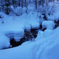 Erfreuliche Schneelage am Sägertalbach | 14.02.2019 | 10:01 Uhr