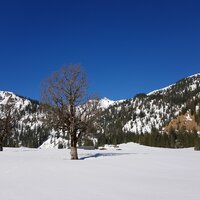 Rappenklammspitze von den Rontal-Almen | 23.03.2019 |  9:39 Uhr