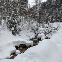 Gute Schneelage am Sägertalbach | 21.03.2021 |  9:50 Uhr